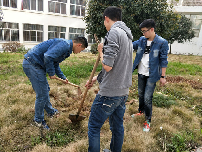 (同学助力植树)