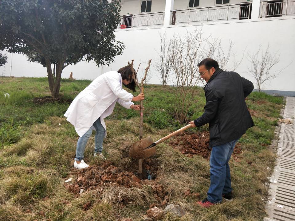 (与学工办老师共同植树)